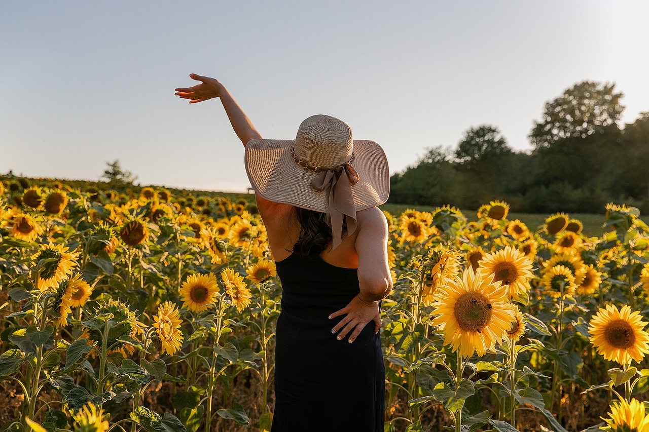 Sunflower field of joy